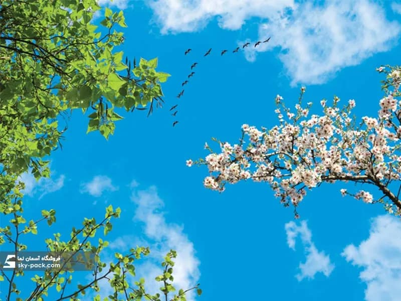 آسمان مجازی طرح درخت ، شکوفه های بهاری و پرندگان — تصویر ۲