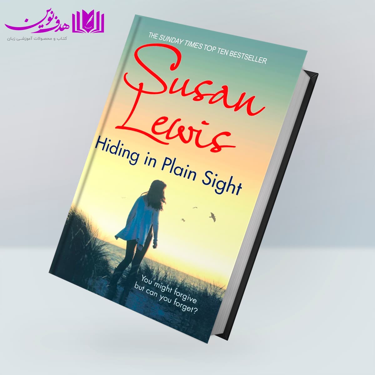 کتاب Hiding in Plain Sight
