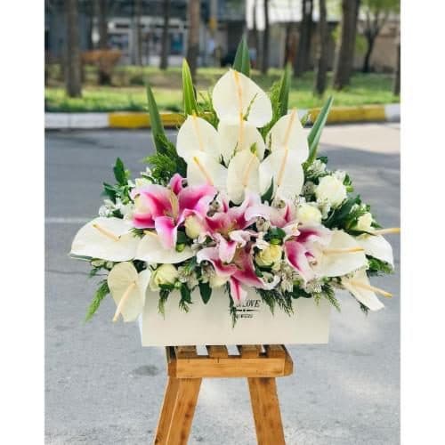 گل شیک و زیبا برای بانک ملل 9779