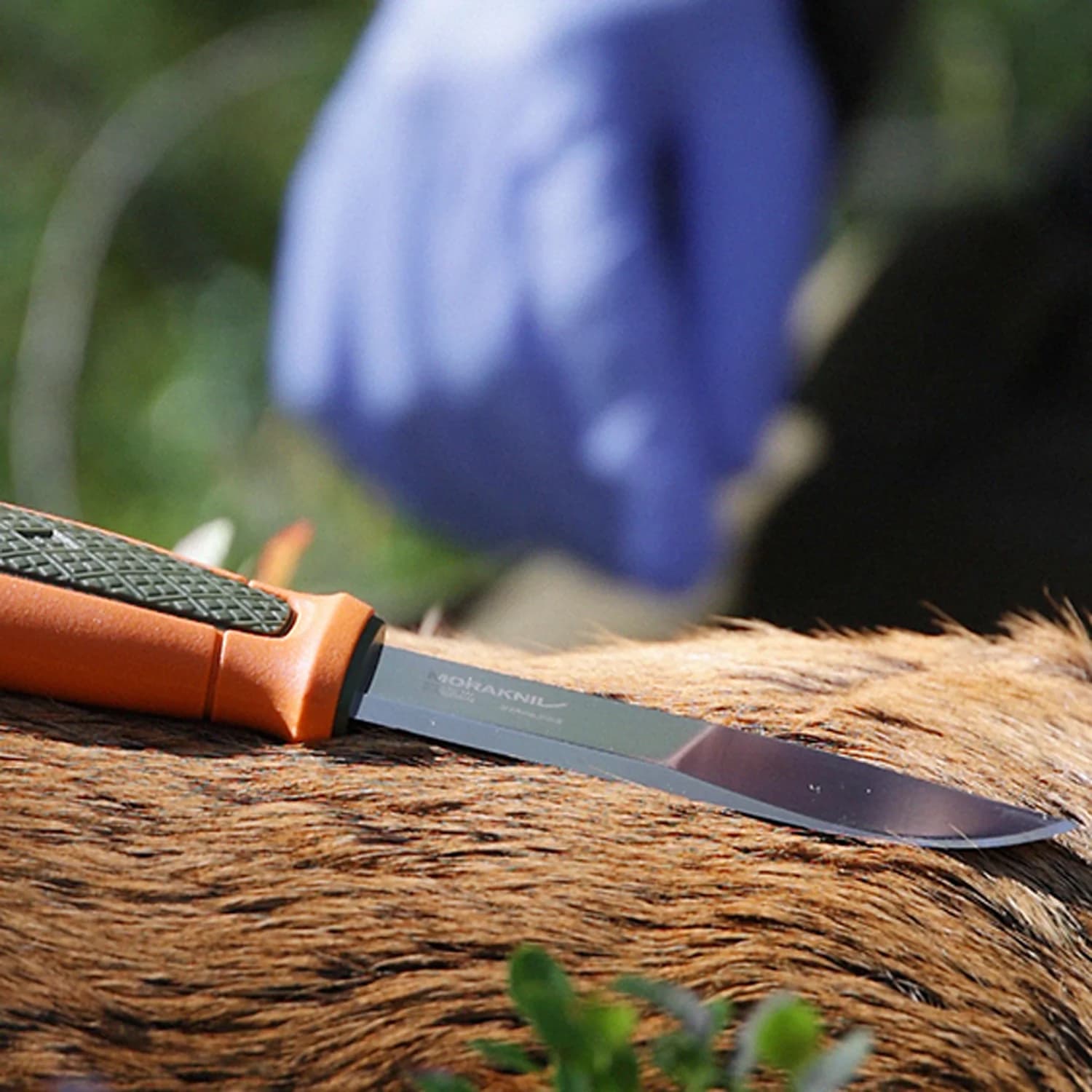 کارد موراکنیو کانزبل شکار Morakniv Kansbol Kansbol Hunting (S) — تصویر ۳
