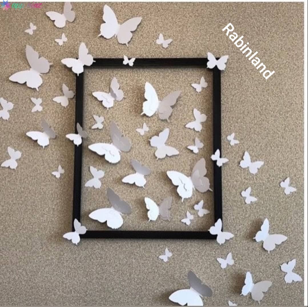 تابلو پروانه — تصویر ۵