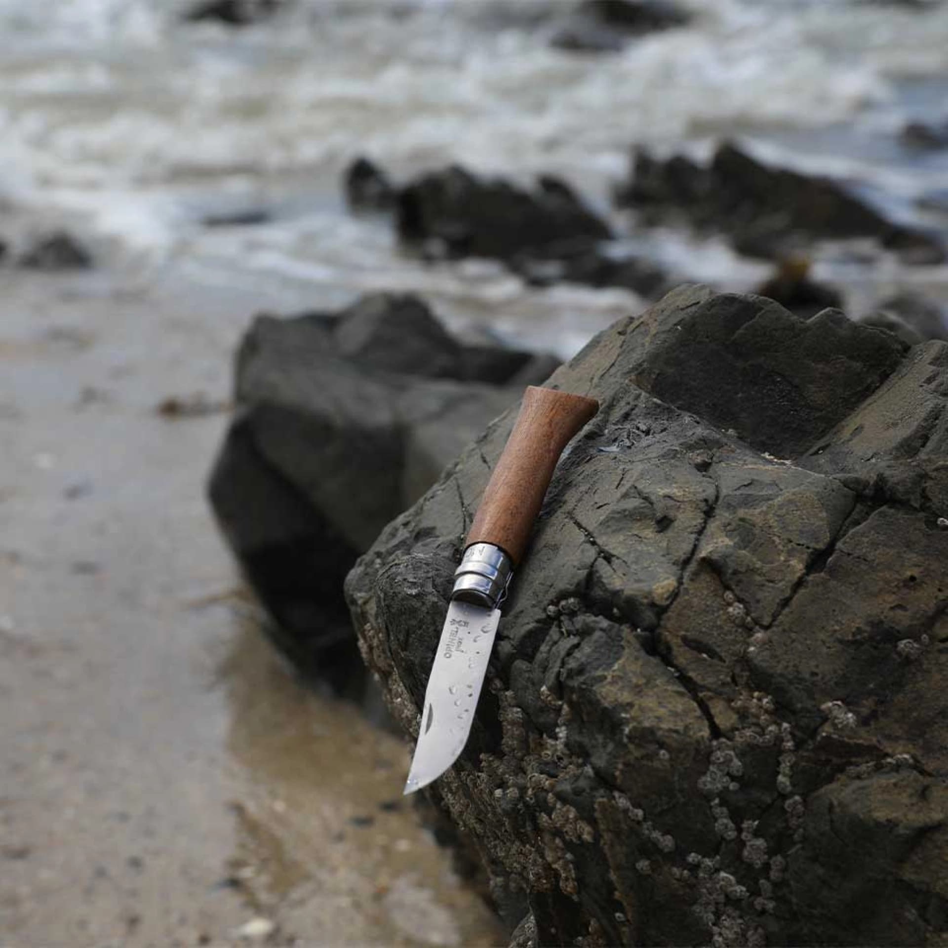 چاقو اپینل 08 استنلس – چوب گردو Opinel No.08 Stainless Steel Folding Knife | Walnut wood — تصویر ۴