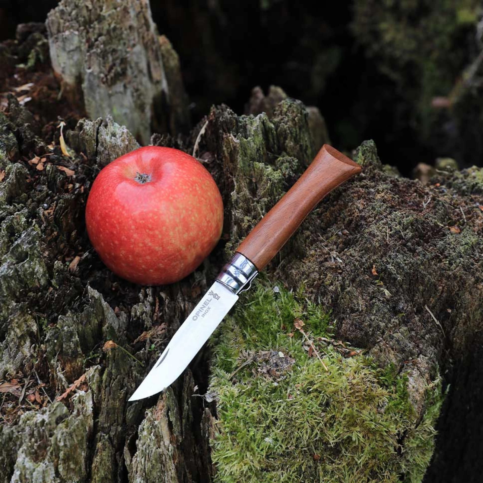 چاقو اپینل 08 استنلس – چوب گردو Opinel No.08 Stainless Steel Folding Knife | Walnut wood — تصویر ۶