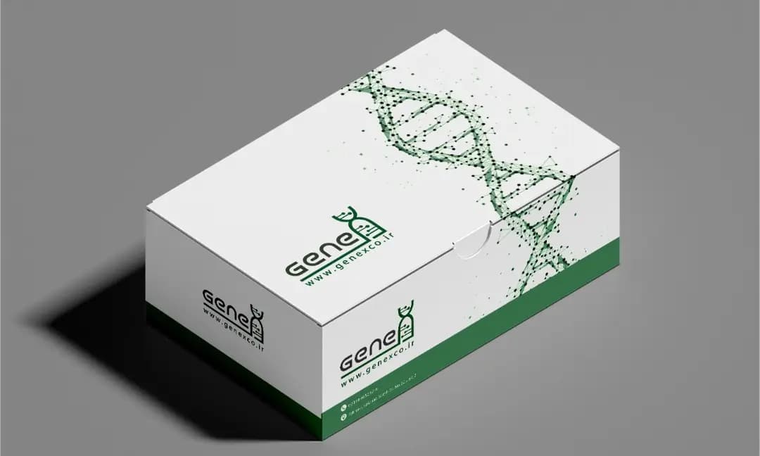 کیت تشخیص مولکولی HPV