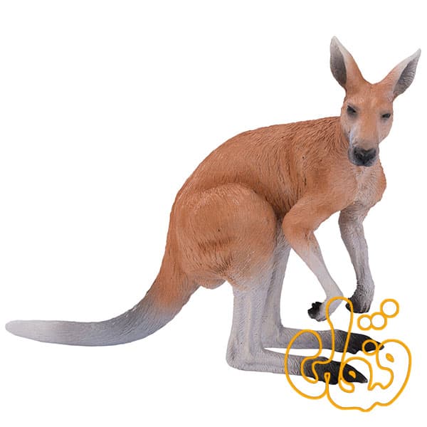 کانگورو Kangaroo 381010