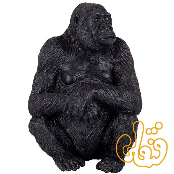 گوریل ماده Gorilla Female 381004 — تصویر ۲