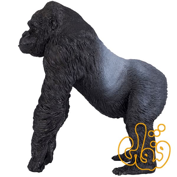گوریل نر پشت نقره ای Gorilla Male Silverback 381003 — تصویر ۴