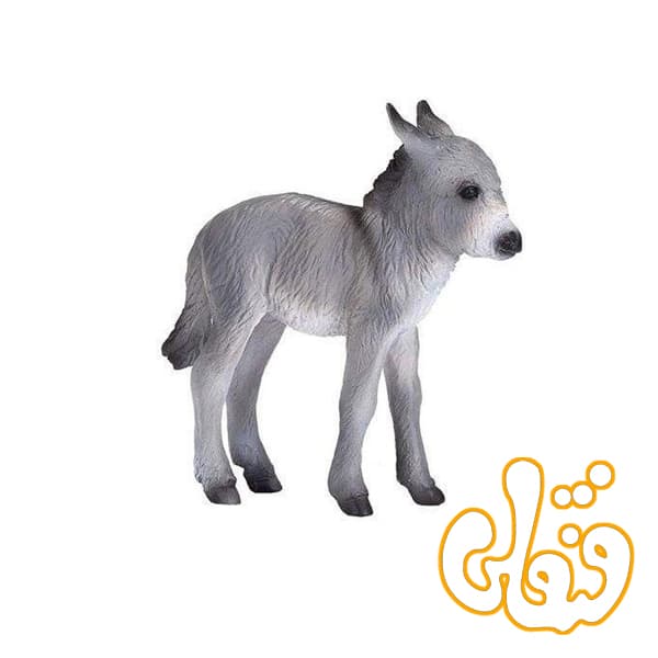 کره الاغ Donkey Foal 387398 — تصویر ۲