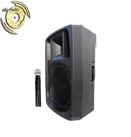 اکو همراه برین صوت Barin 3695 با میکروفن