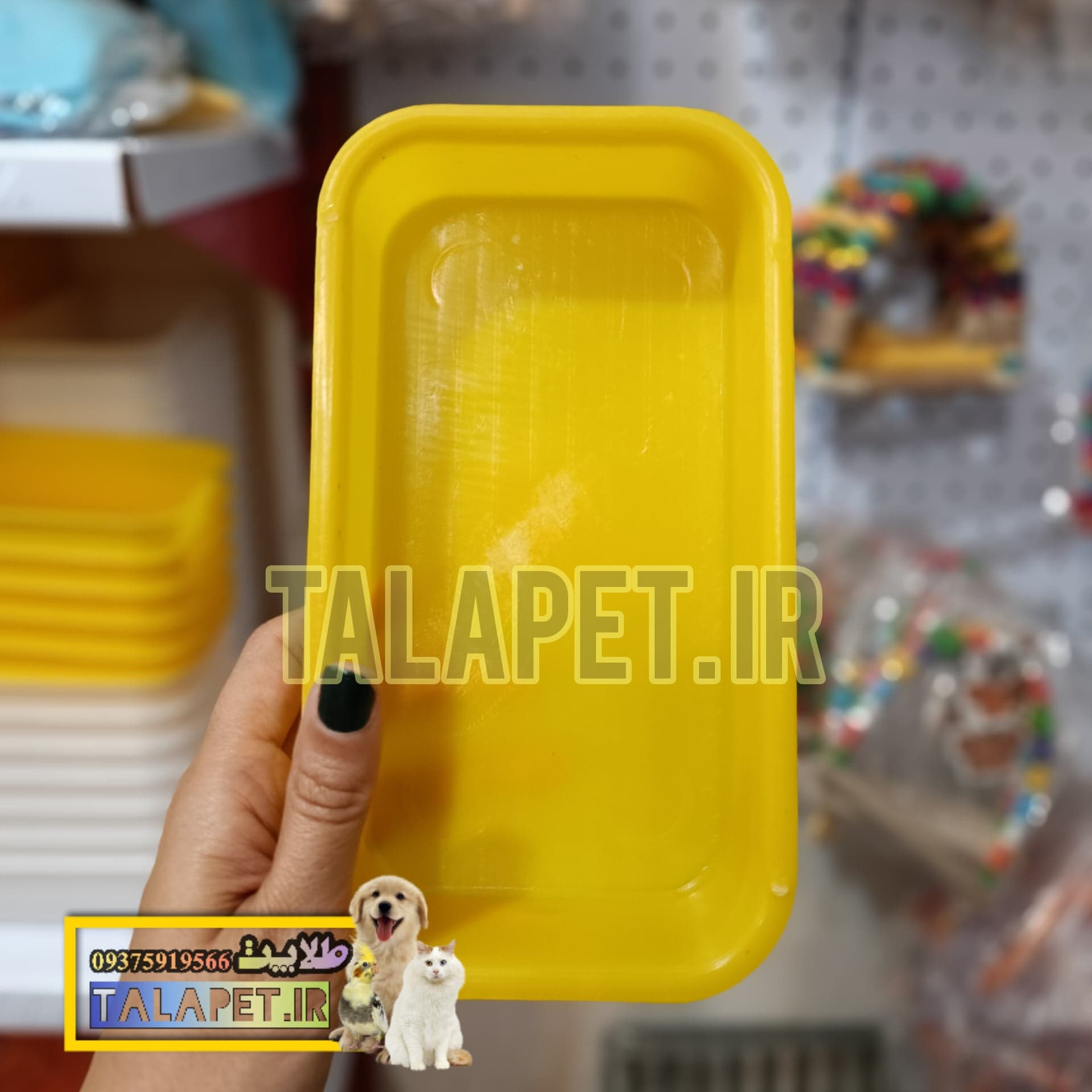 وان حمام طوطی سانان کوچک و متوسط جثه — تصویر ۳