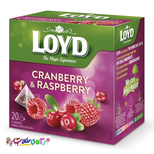 چای لوید تمشک زغال اخته 20 عددی LOYD
