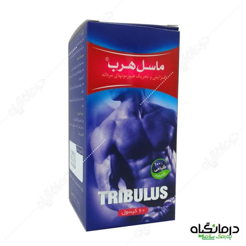 کپسول ماسل هرب: تقویت و افزایش حجم عضلات، افزایش هورمون مردانه — تصویر ۷