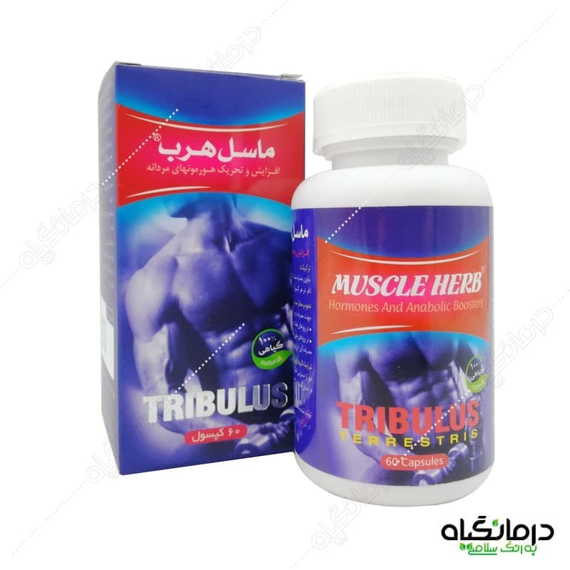 کپسول ماسل هرب: تقویت و افزایش حجم عضلات، افزایش هورمون مردانه