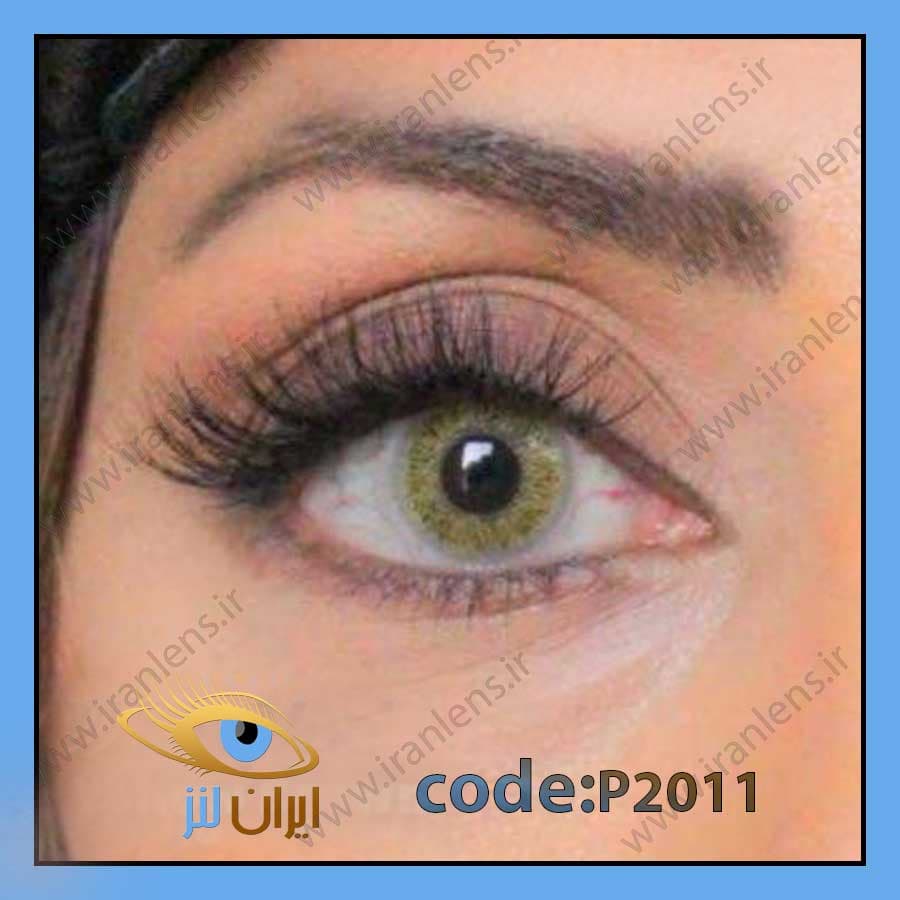 لنز رنگی یلو براون سالانه کد P2011