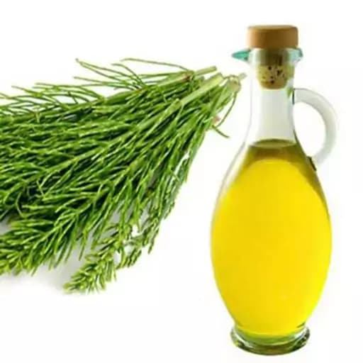 روغن دم اسب (120میلی )