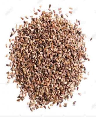 تخم کاسنی (10گرمی )