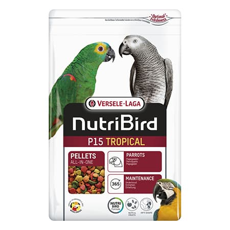 پلت ورسلاگا p19 tropical
