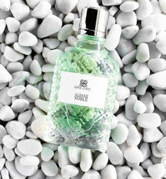 عطر ادکلن گریس شیک اصلی و اورجینال آلبان نوبل فرانسه ALBANE NOBLE GRIS CHIC 100ml — تصویر ۲