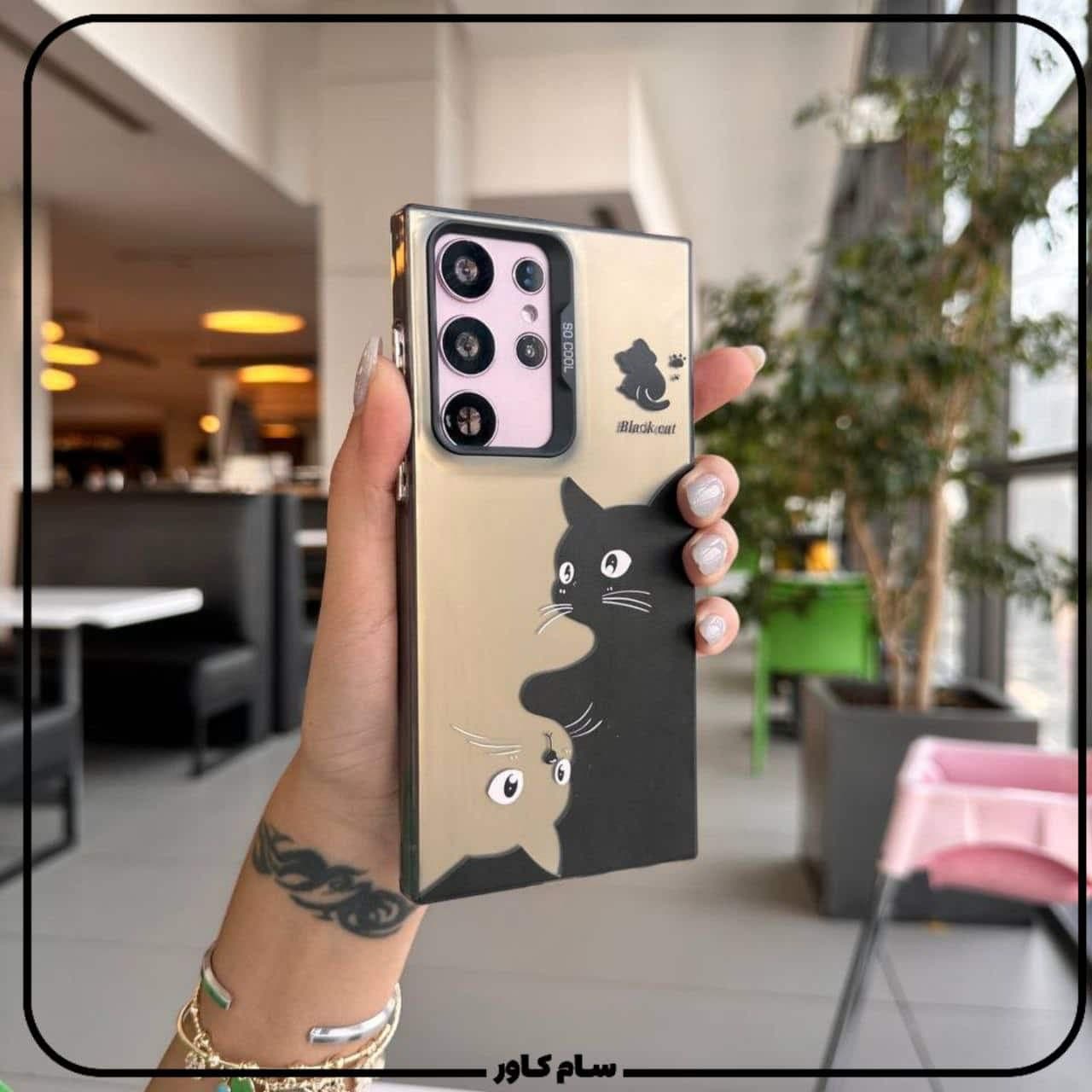 قاب گربه سوکول