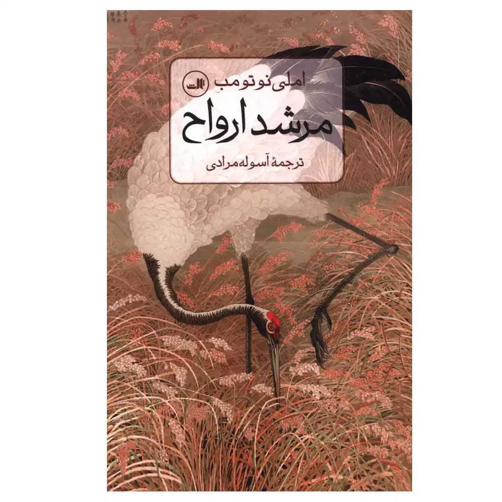 مرشد ارواح — تصویر ۲