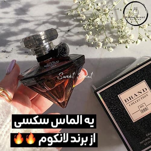 عطر ادکلن مینی لانکوم لانویت ترزور (لانکوم الماسی) برند کالکشن | Lancome La Nuit Trésor Brand Collection حجم 25 میل کد 069