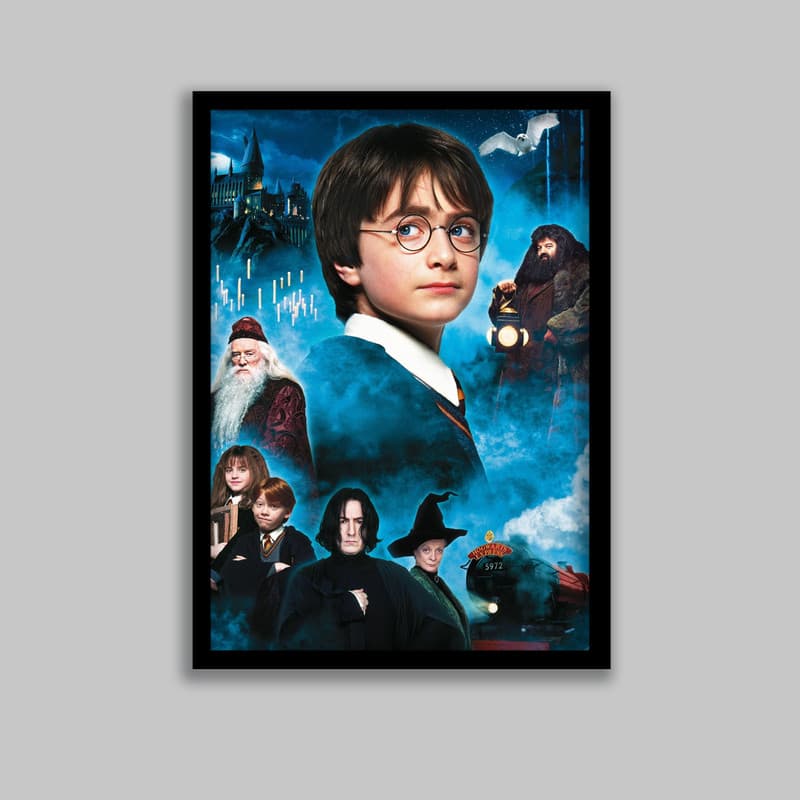 تابلو مدل هری پاتر Harry Potter کد LA-G10559-2