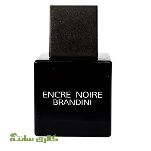 ادوپرفیوم مردانه انکرنویر (Encre Noire) برندینی 33 میل — تصویر ۳