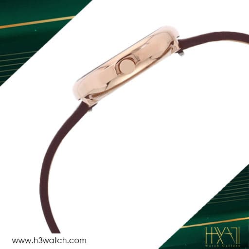 ساعت مچی زنانه اسکاگن SKAGEN SKW2646 — تصویر ۲