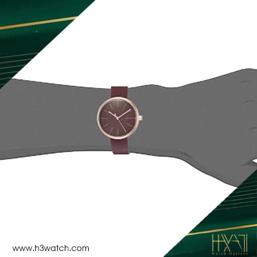 ساعت مچی زنانه اسکاگن SKAGEN SKW2646 — تصویر ۴