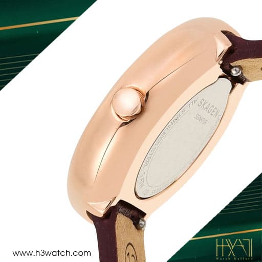 ساعت مچی زنانه اسکاگن SKAGEN SKW2646 — تصویر ۵