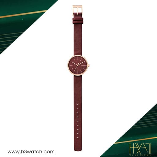 ساعت مچی زنانه اسکاگن SKAGEN SKW2646 — تصویر ۳