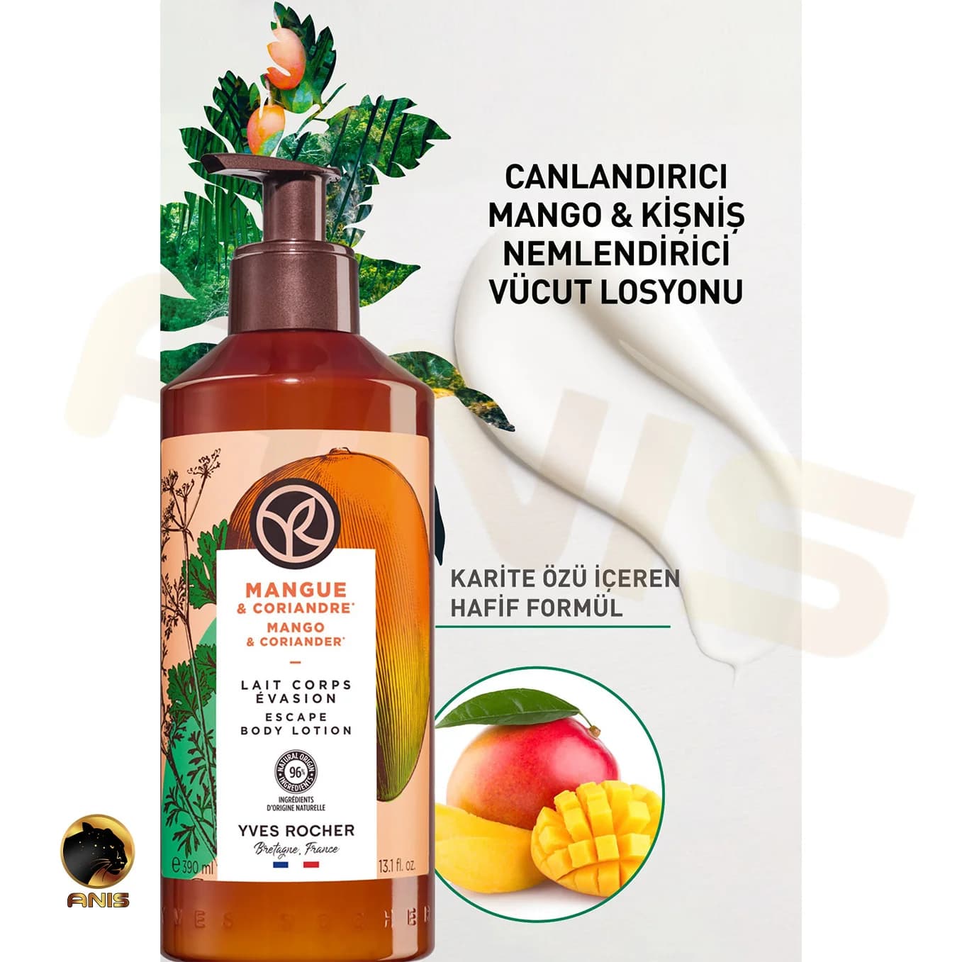 لوسیون بدن Mangue & Coriandre ایوروشه با رایحه گشنیز و انبه 390 میل — تصویر ۳