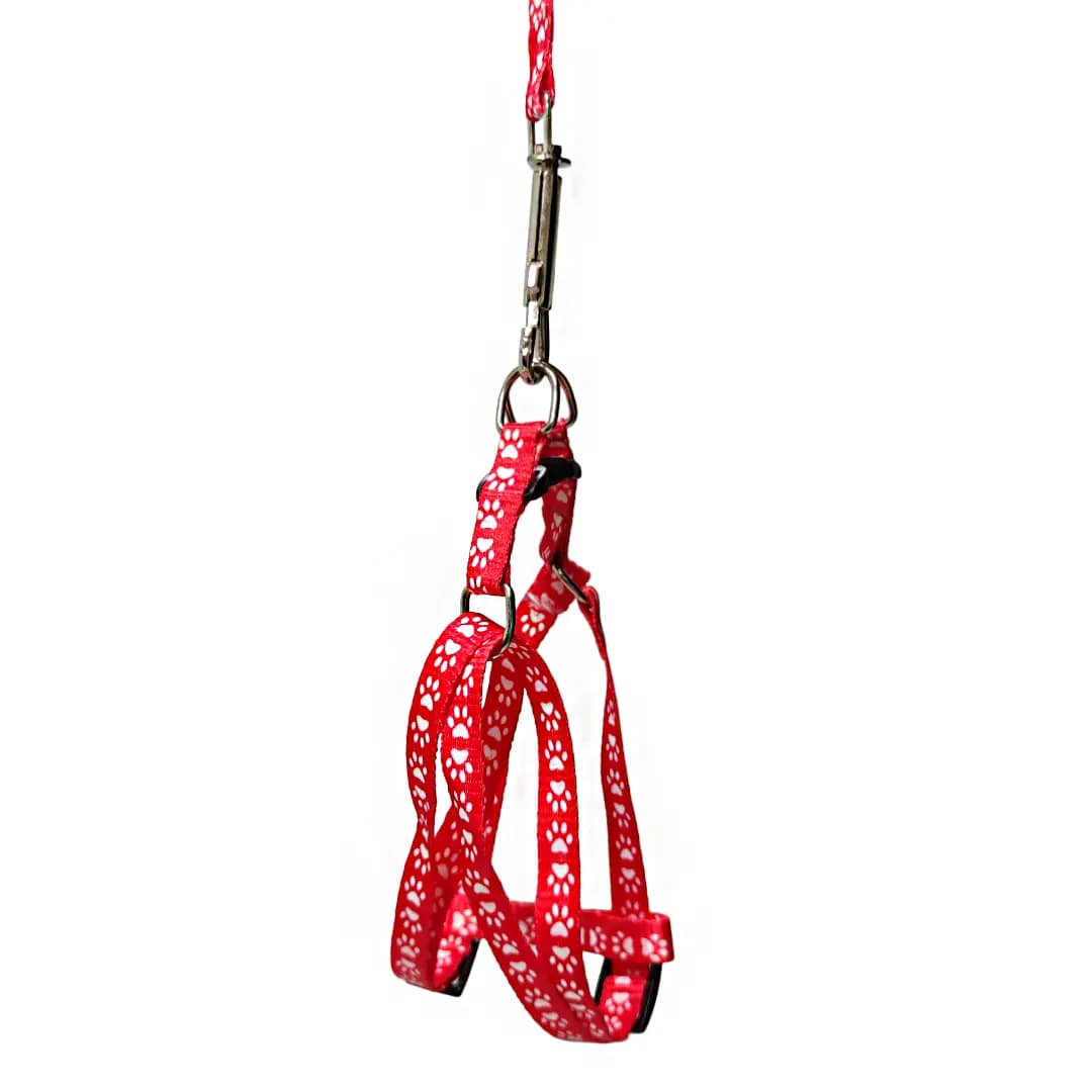 قلاده کتفی سگ و گربه 1 سانتی طرح پنجه همراه با لید