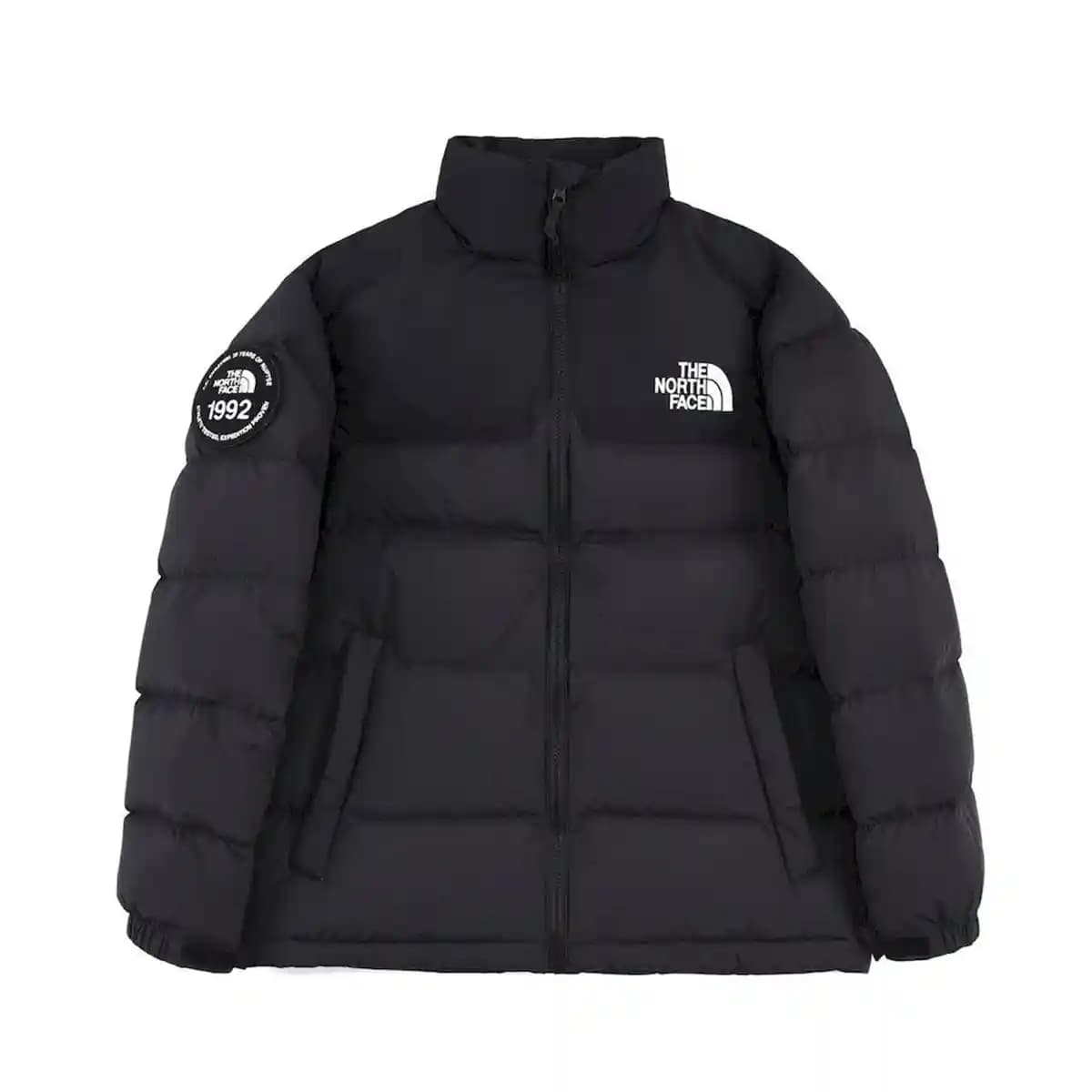کاپشن الیاف مردانه نورث فیس 1992 | The North Face 1992 مشکی