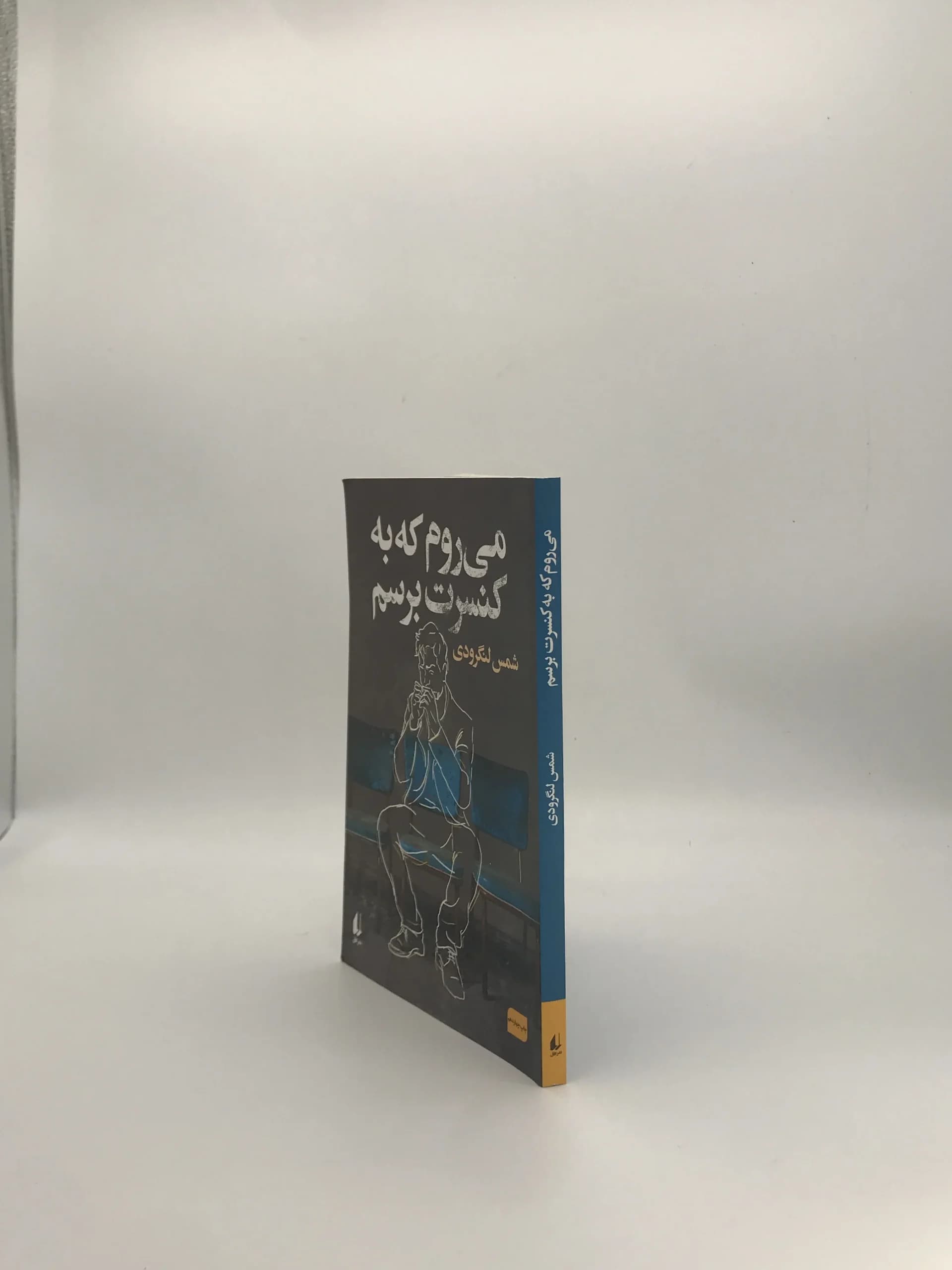 می روم که به کنسرت برسم اثر شمس لنگرودی — تصویر ۴