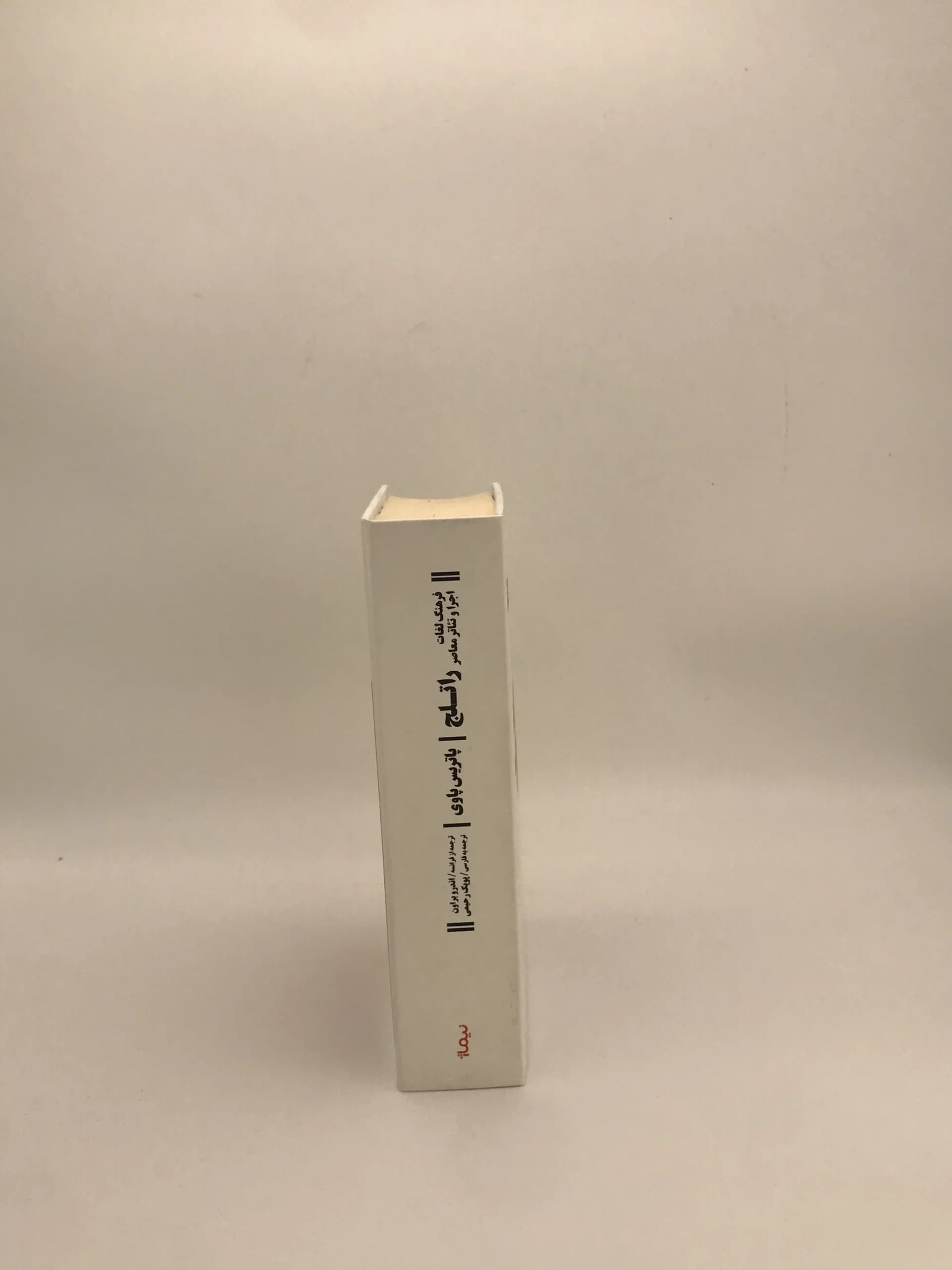 فرهنگ لغات اجرا و تئاتر معاصر راتلج نوشته پاتریس پاوی — تصویر ۵