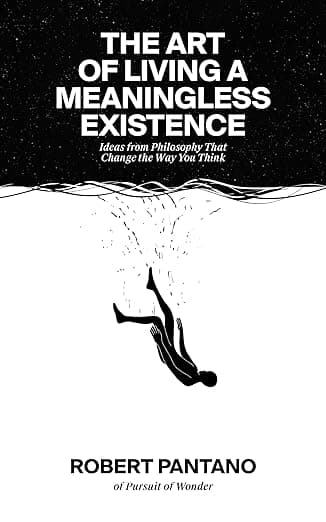 کتاب The Art of Living a Meaningless Existence: Ideas from Philosophy That Change the Way You Think — تصویر ۲