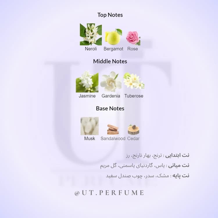 عطر لالیک لامور – Lalique L’Amour زنانه — تصویر ۴