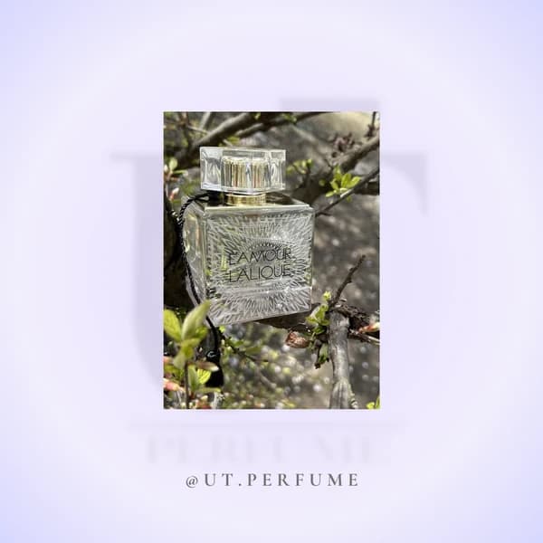 عطر لالیک لامور – Lalique L’Amour زنانه — تصویر ۶