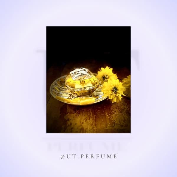 عطر پاکو رابان لیدی میلیون – Paco Rabanne Lady Million زنانه — تصویر ۷