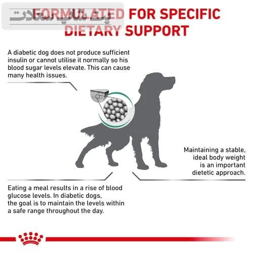 غذای خشک سگ دیابتیک رویال کنین Royal Canin Diabetic وزن 1.5 کیلوگرم — تصویر ۲