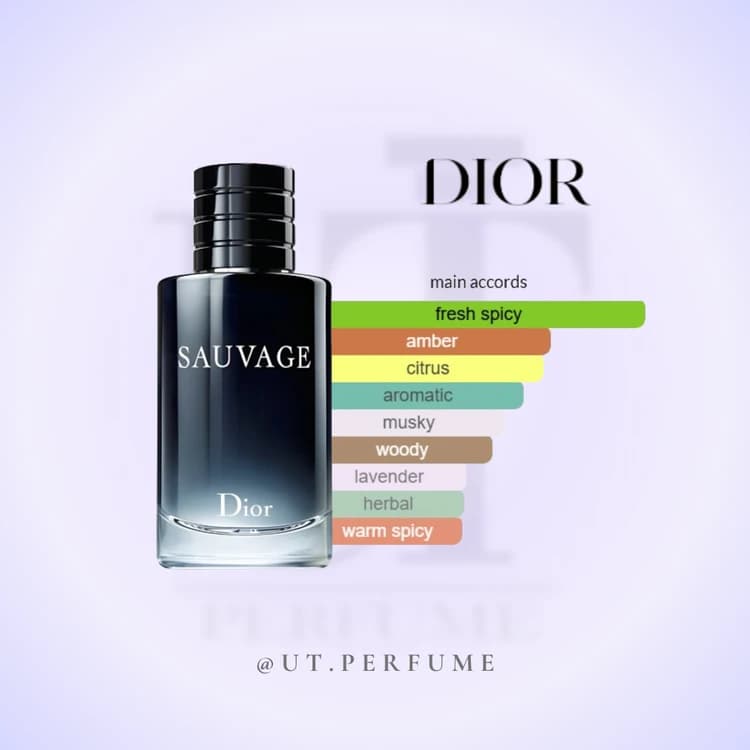 عطر دیور ساواج ساواژ – Dior Sauvage مردانه — تصویر ۳