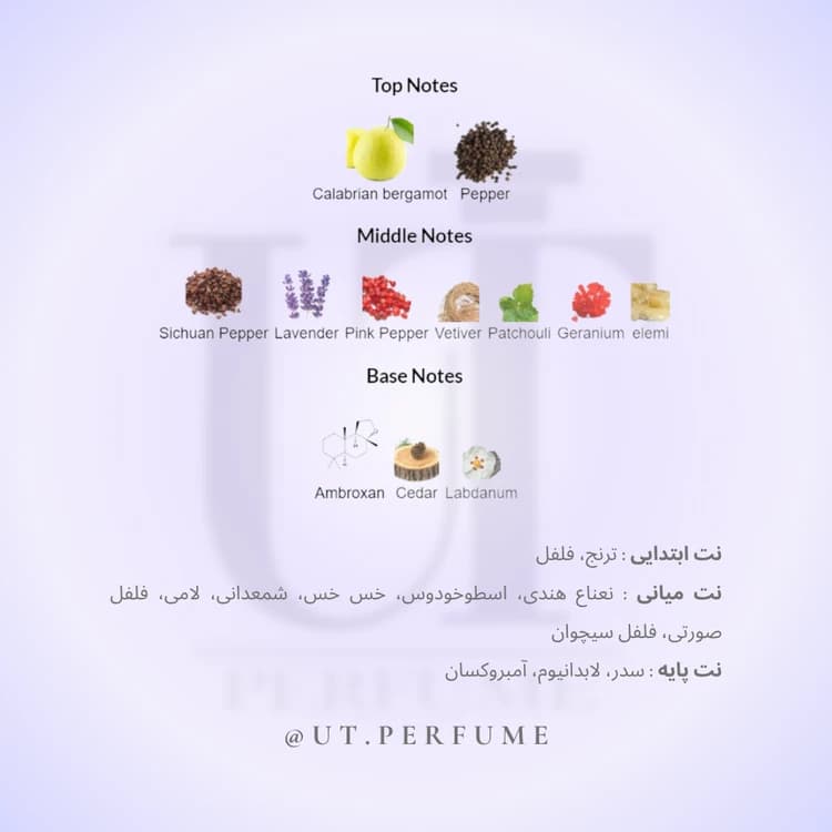 عطر دیور ساواج ساواژ – Dior Sauvage مردانه — تصویر ۵