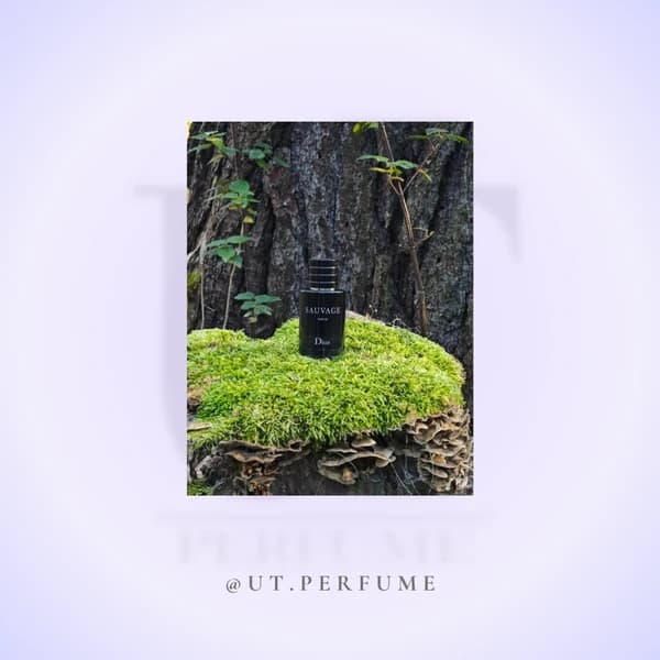 عطر دیور ساواج ساواژ – Dior Sauvage مردانه — تصویر ۷
