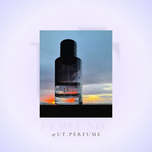 عطر دیور ساواج ساواژ – Dior Sauvage مردانه — تصویر ۸