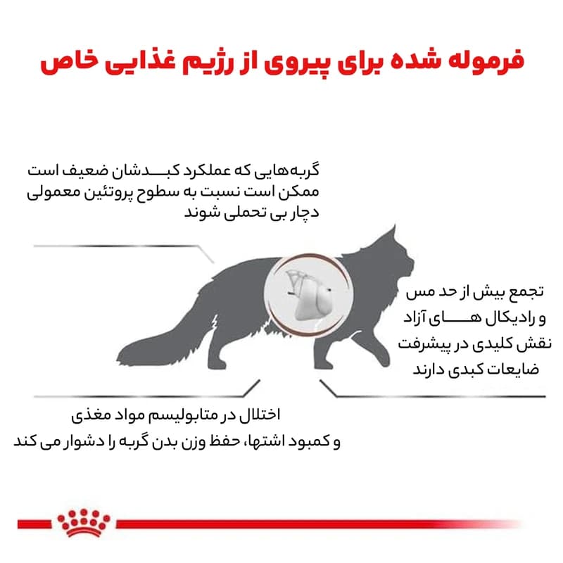 غذای خشک گربه هپاتیک رویال کنین Royal Canin Hepatic وزن 2 کیلوگرم — تصویر ۹