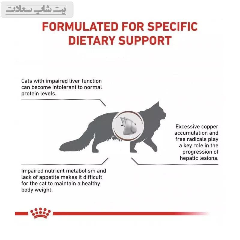 غذای خشک گربه هپاتیک رویال کنین Royal Canin Hepatic وزن 2 کیلوگرم — تصویر ۶