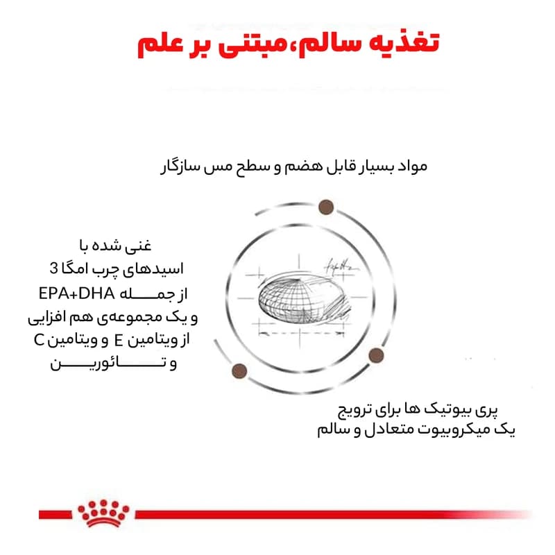 غذای خشک گربه هپاتیک رویال کنین Royal Canin Hepatic وزن 2 کیلوگرم — تصویر ۱۱