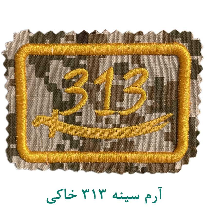 آرم 313 کامپیوتر خاکی