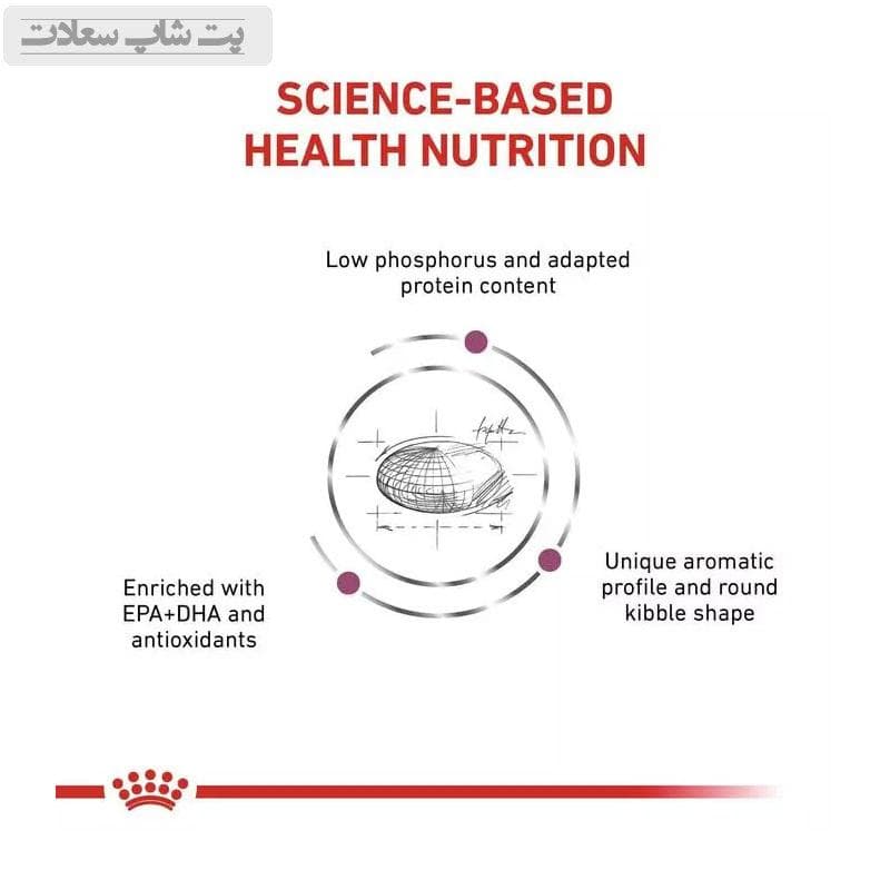 غذای خشک گربه مخصوص مشکلات کلیوی رنال رویال کنین Royal Canin Renal وزن 2 کیلوگرم — تصویر ۲